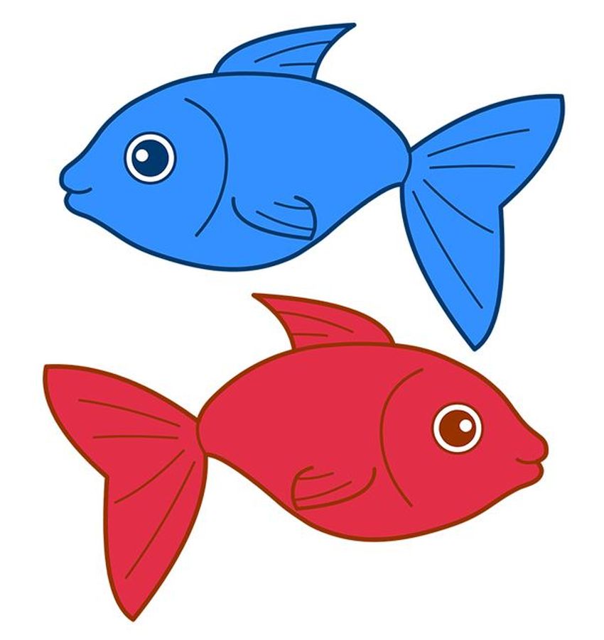 Рыбка рисунок для детей