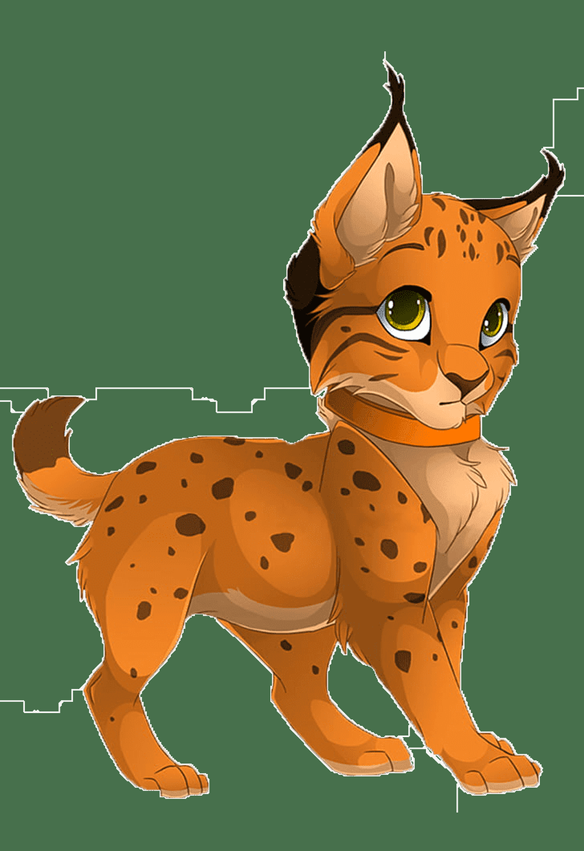 Рысь Коты воители рысёнок