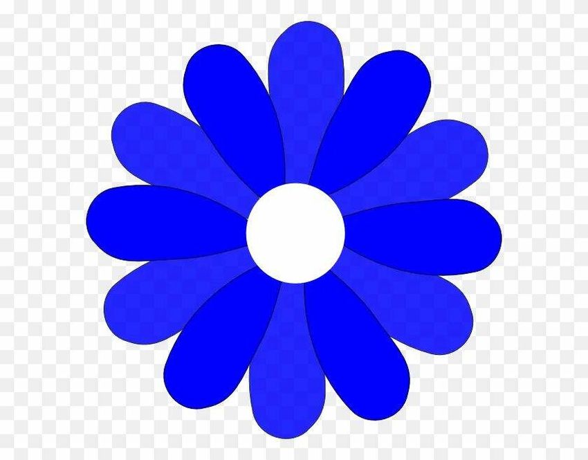 Синий цветок рисунок