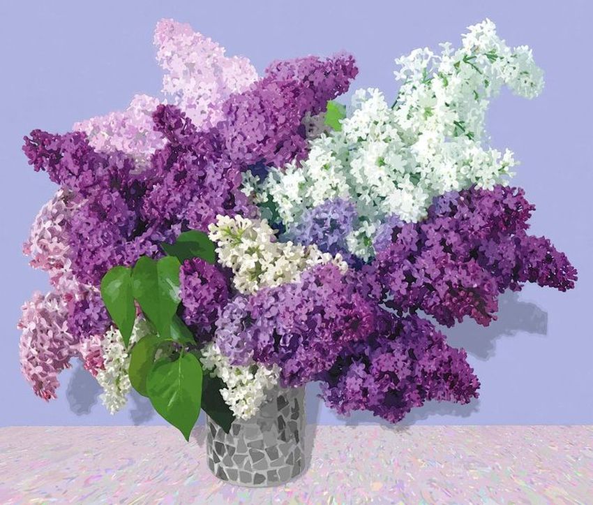 Сирень