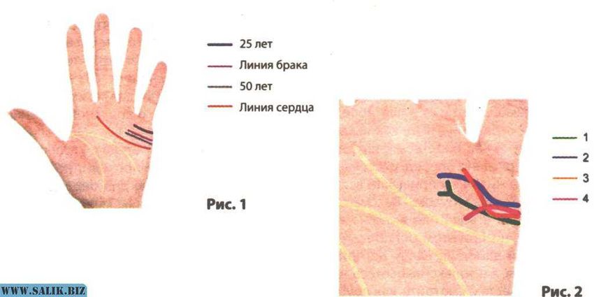 Хиромантия линии брака вдовство