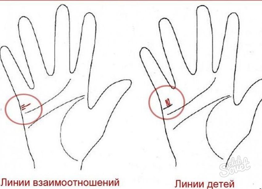 Хиромантия линия детей