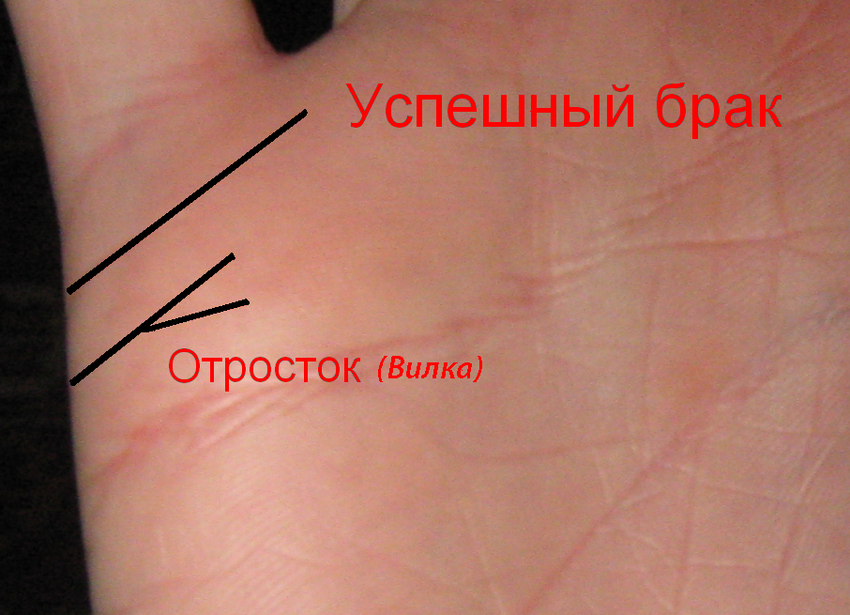 Линия брака на руке