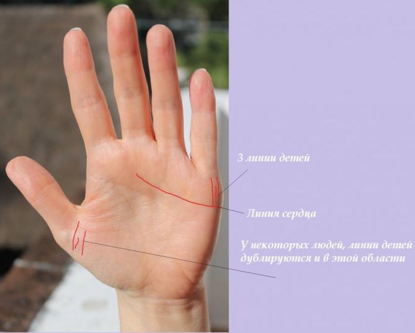 Линия жизни и линия любви на ладони