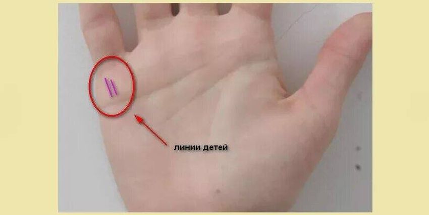 Линии детей на ладони