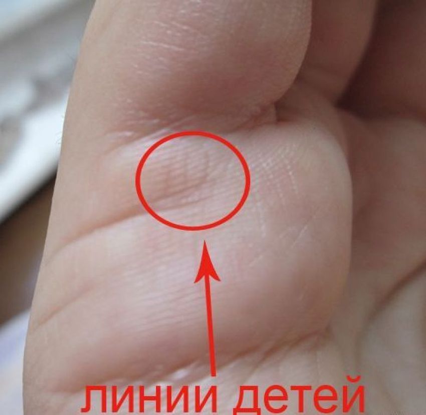Линия брака