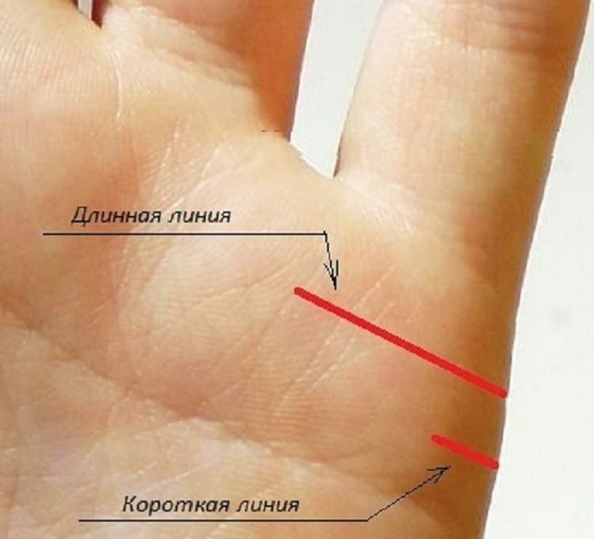 Линия судьбы