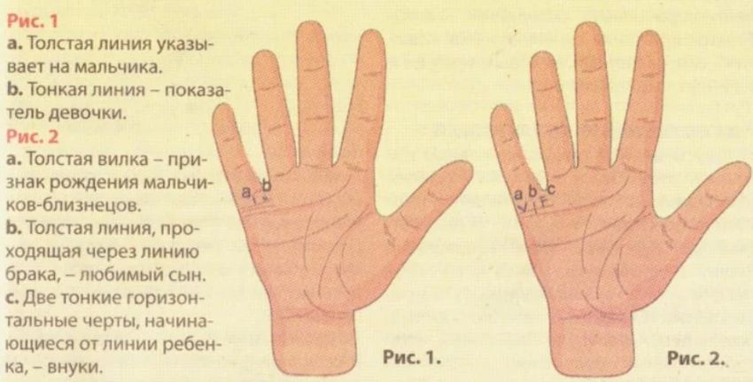 Хиромантия линия детей