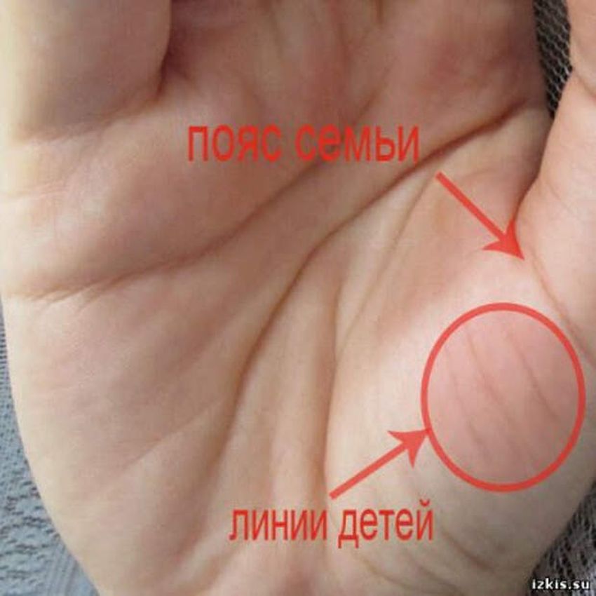 Линии детей на ладони