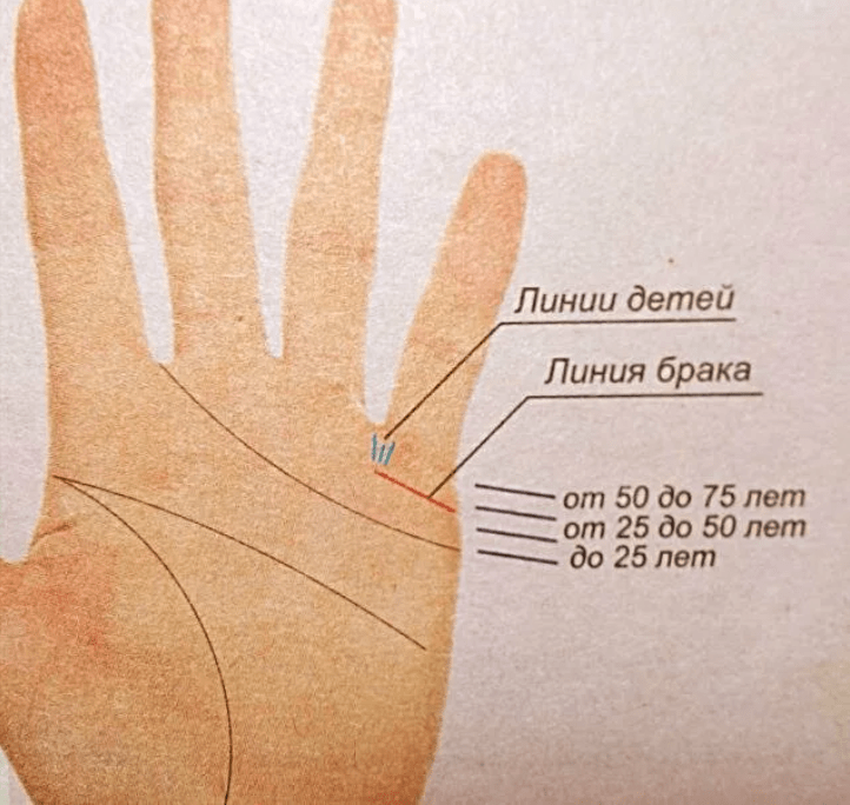 Линия брака