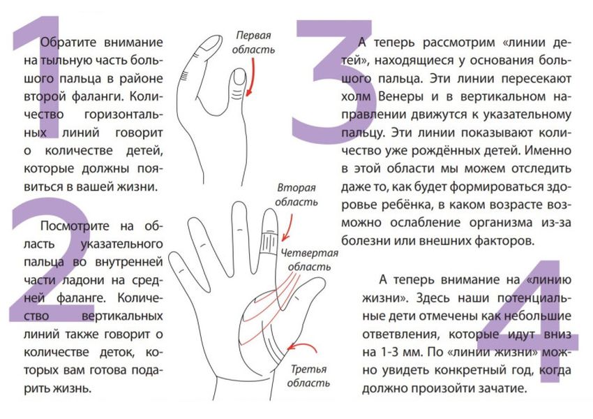 Линии на руках и их значение