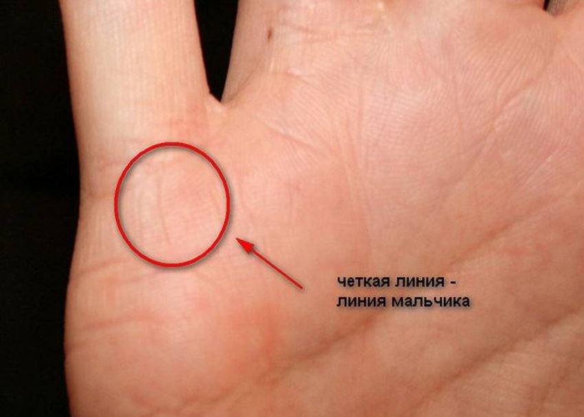 Линия детей