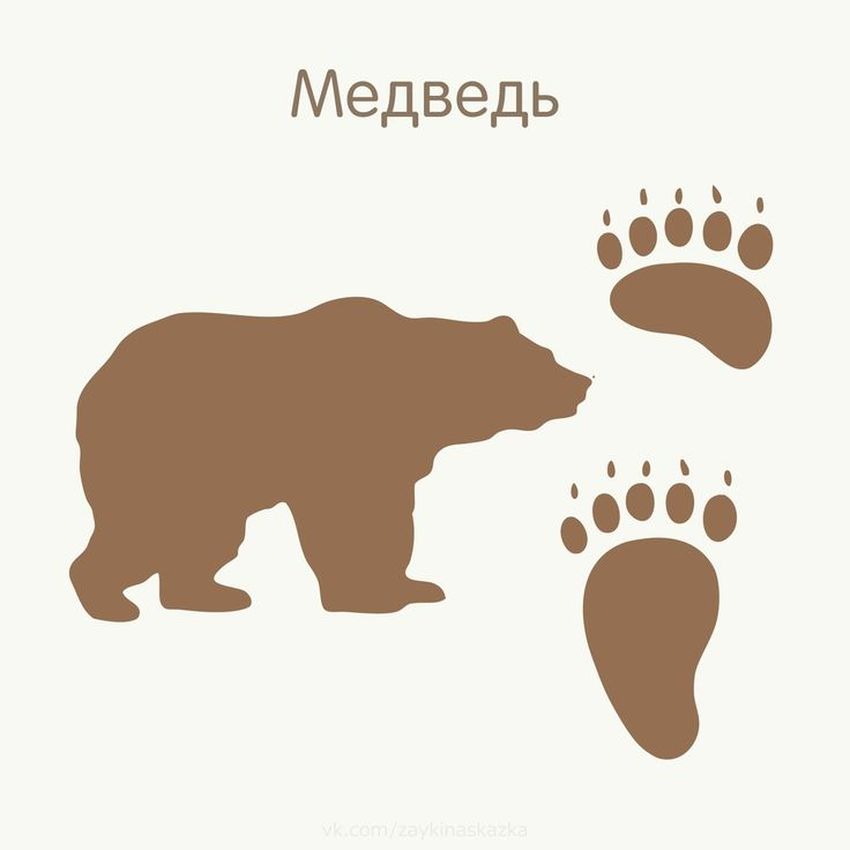 Силуэт медведя