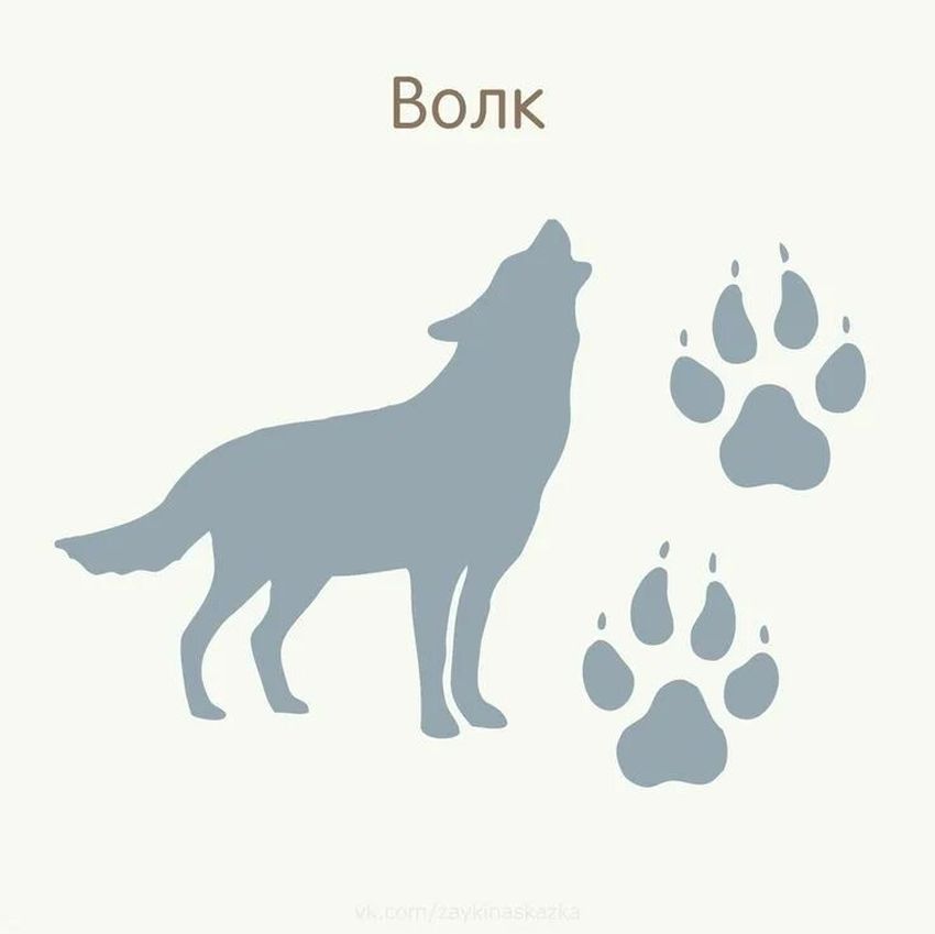 Волк вырезка