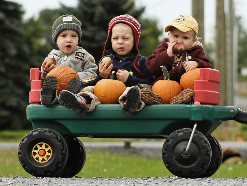 Смешные дети Ребенок