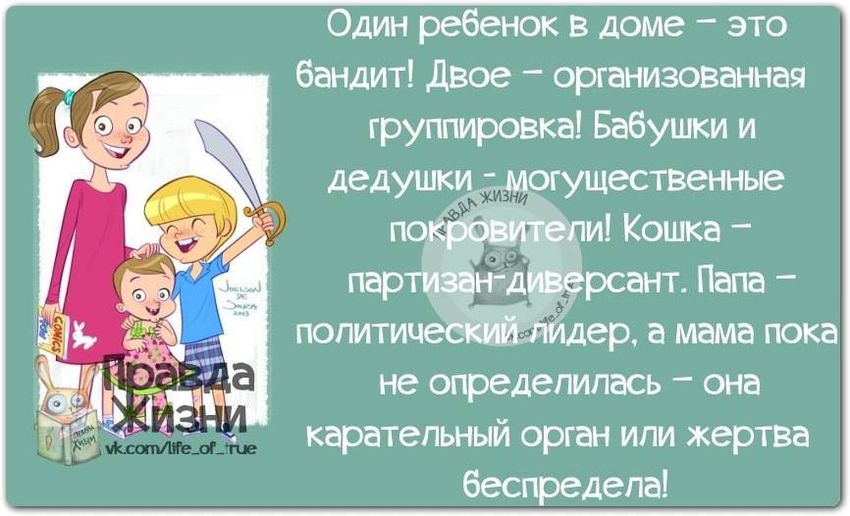Анекдоты про семью Цитаты юмор