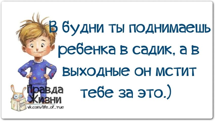 В будни ты будешь ребенка в садик а в выходные Смешные цитаты про детей