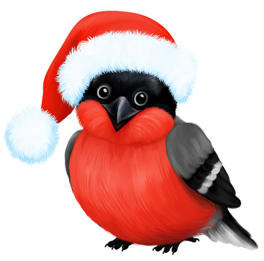 Снегирь на прозрачном фоне Снегирь