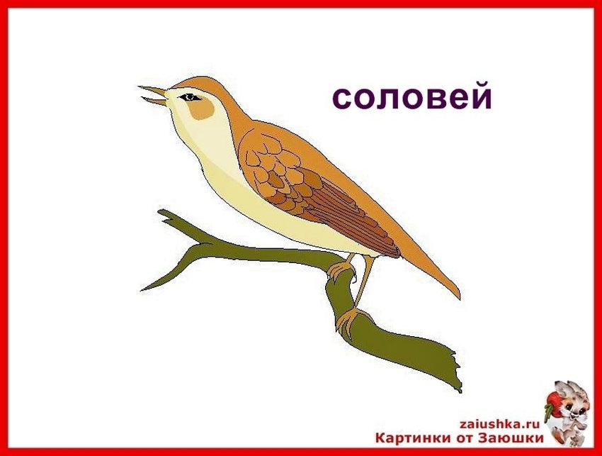 Соловей для детей