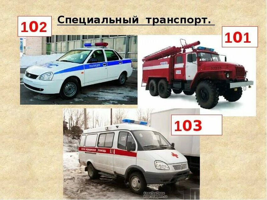Специальный транспорт