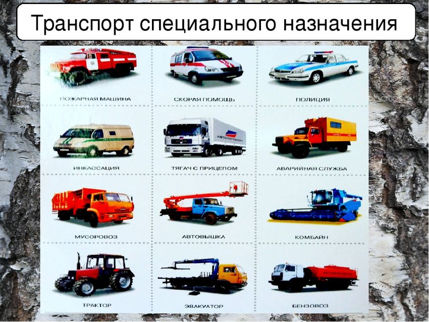 Специальный вид транспорта