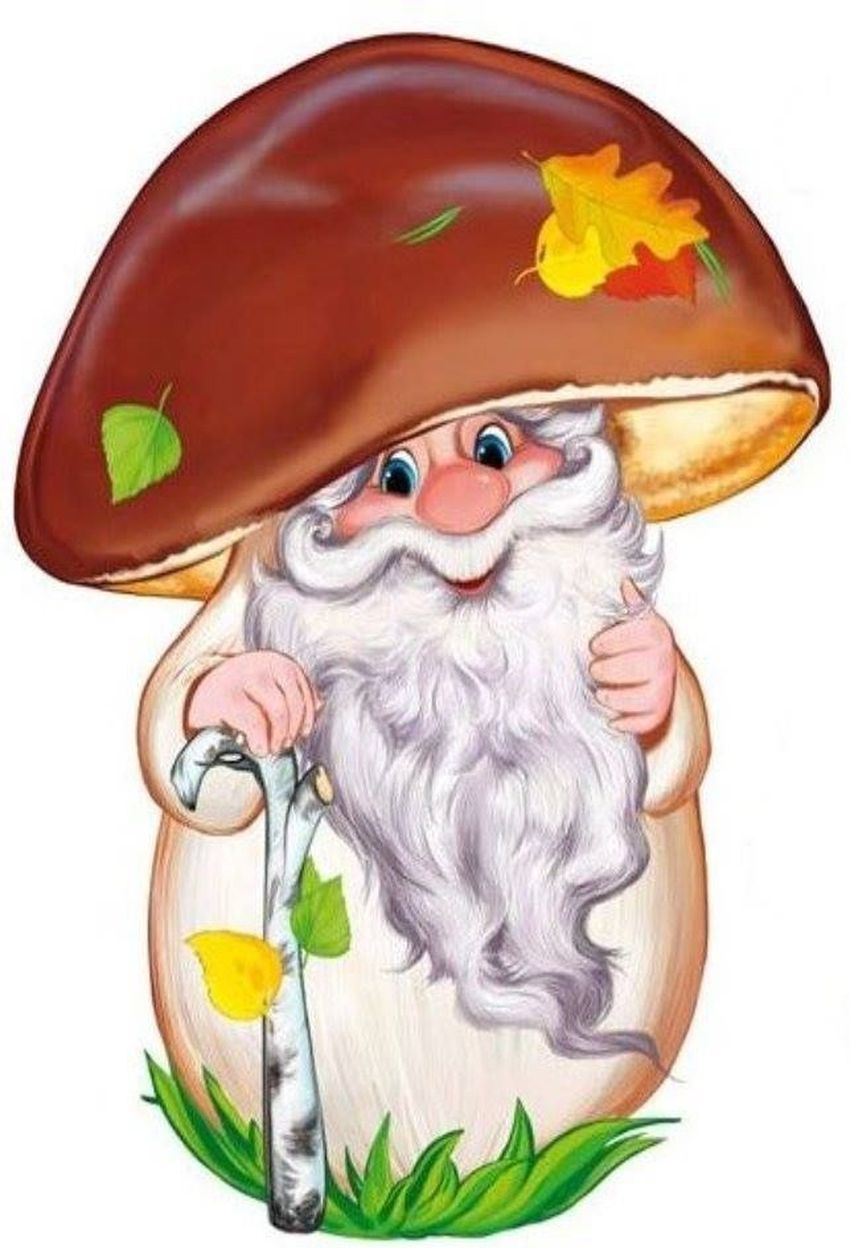 Гриб боровик