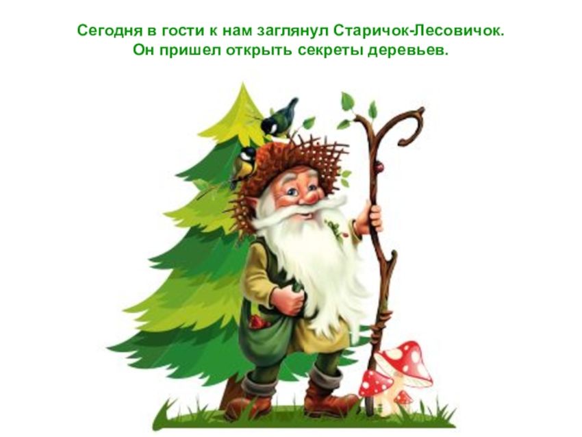 Лесовичок