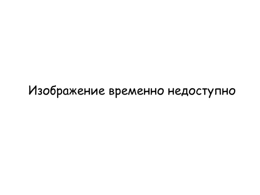 Внутреннее строение чешуекрылых