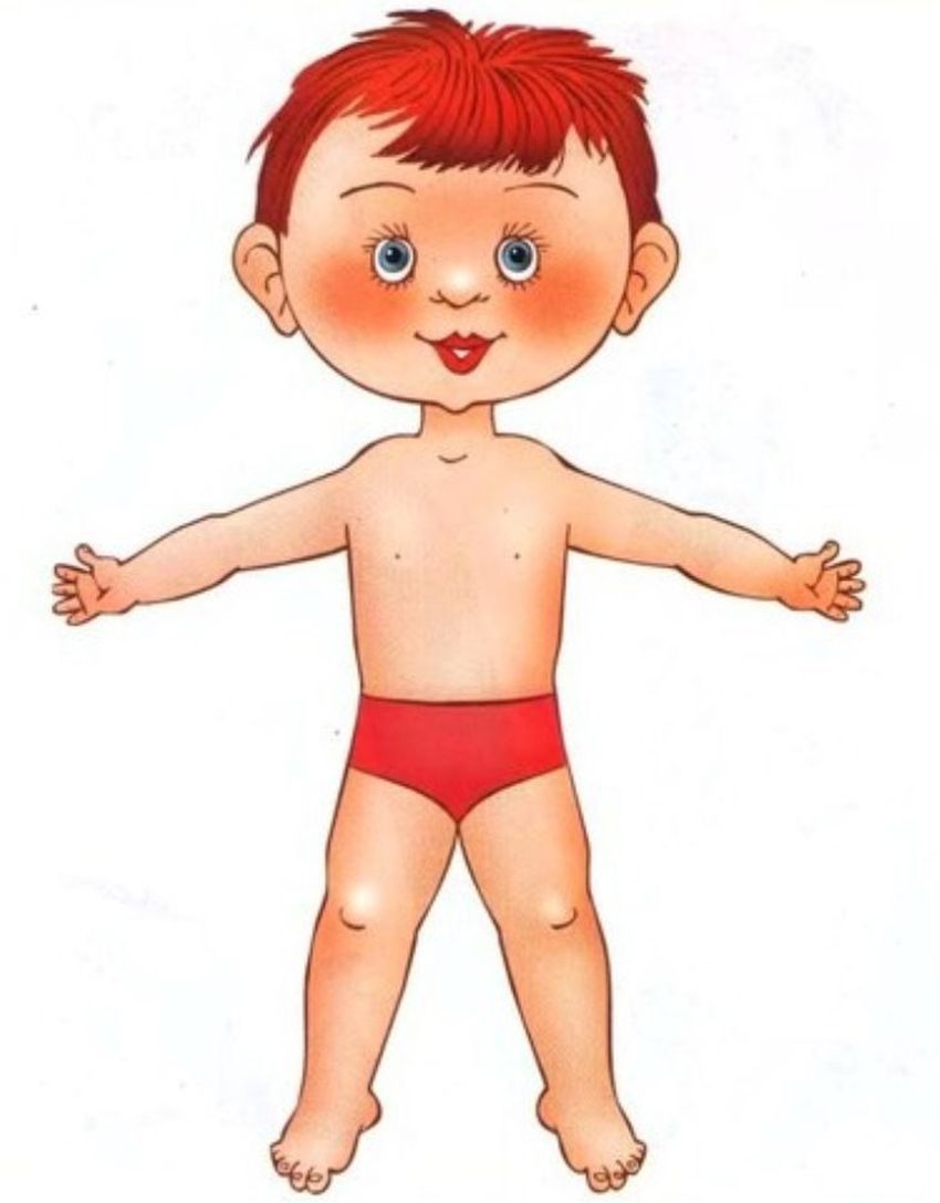 Тело человека рисунок для детей