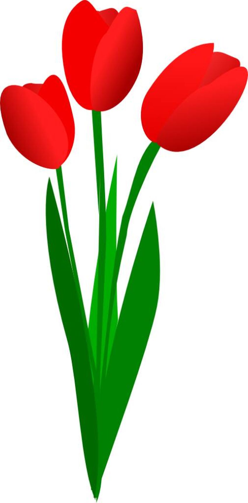 Тюльпаны мультяшные