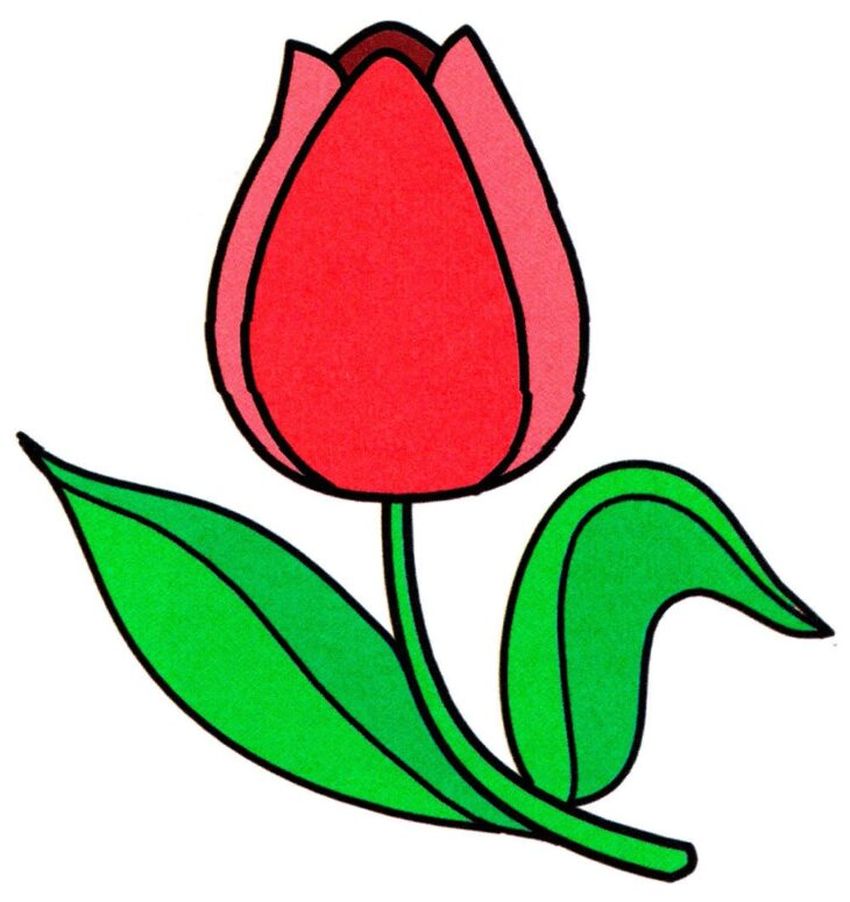 Тюльпан для детей