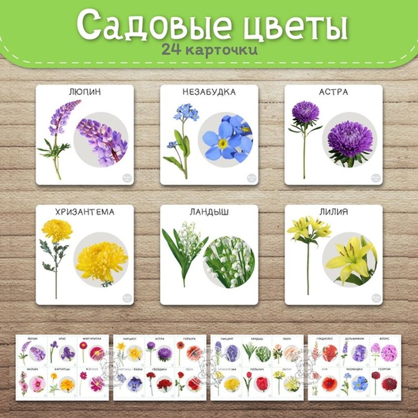 Карточки садовые цветы