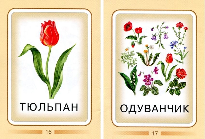 Карточки с изображением цветов