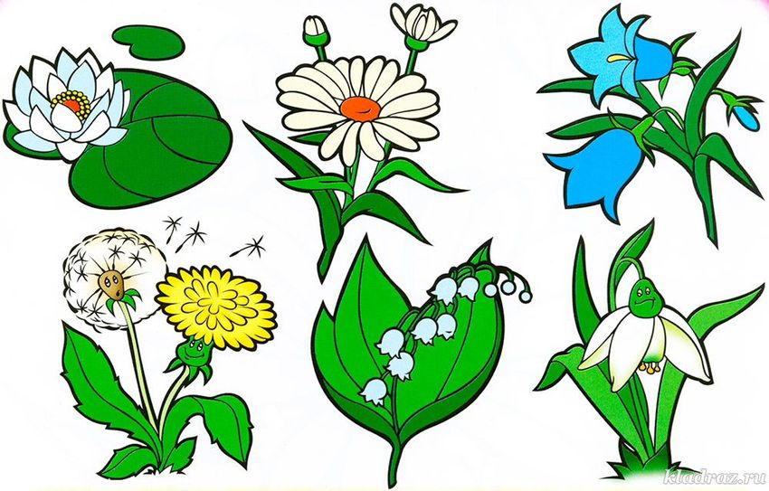 Цветы рисунок для детей