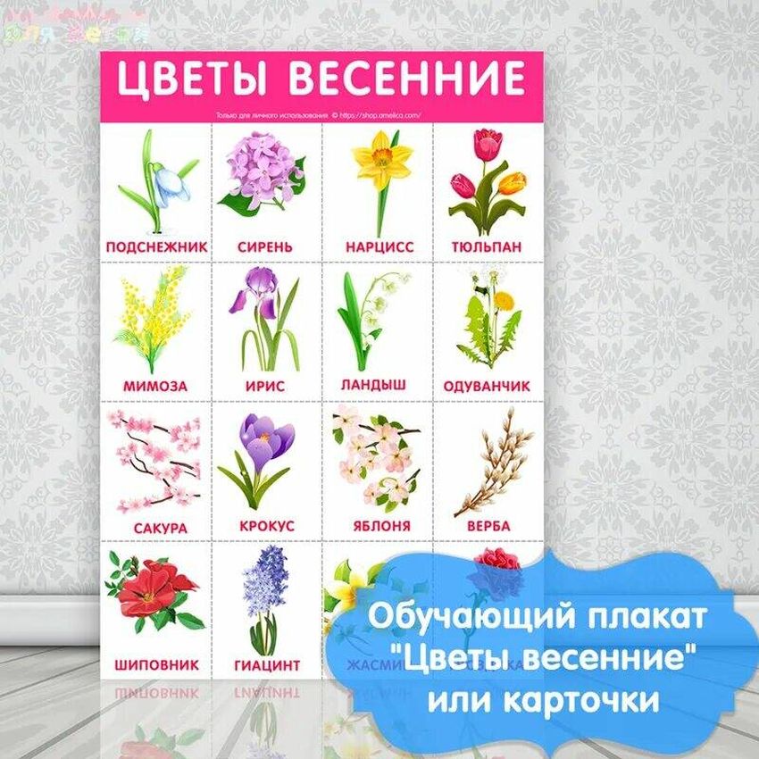 Весенние цветы для детей