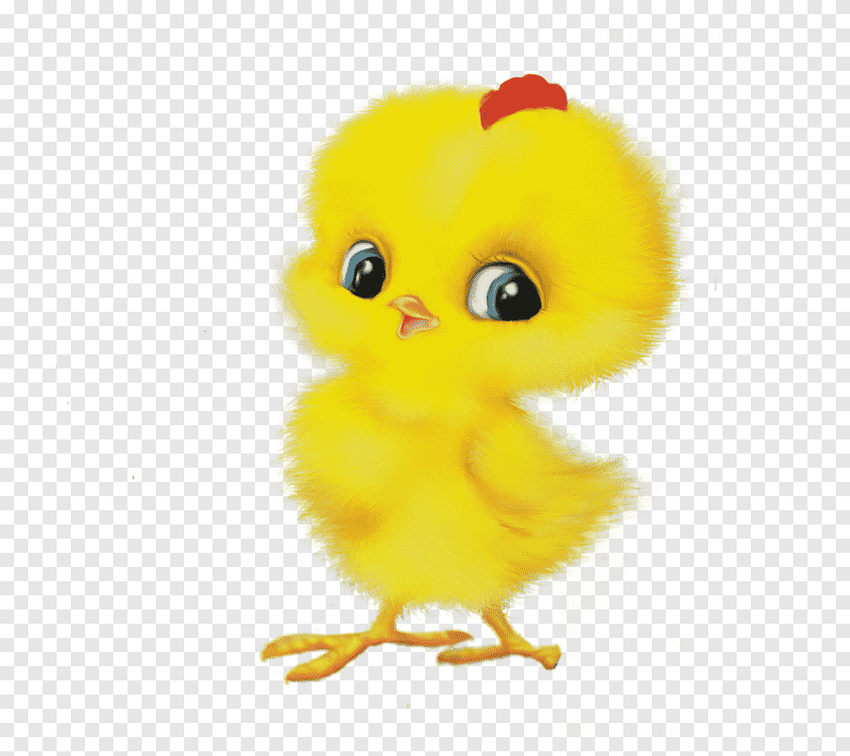 Цыпленок для детей
