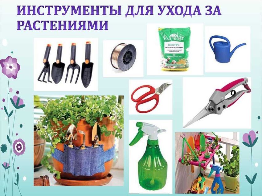 Инвентарь для ухода за растениями