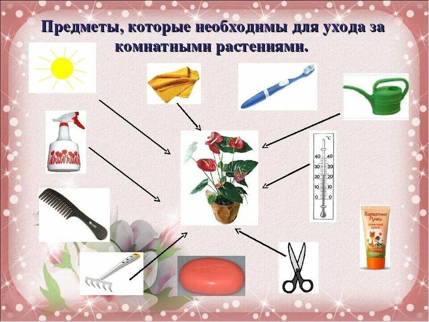 Уход за комнатными растениями