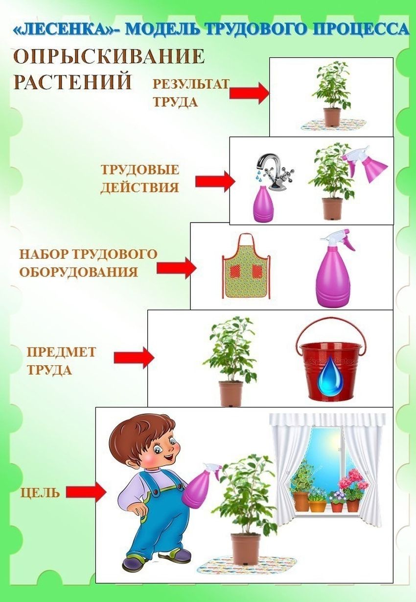 Алгоритм ухода за растениями