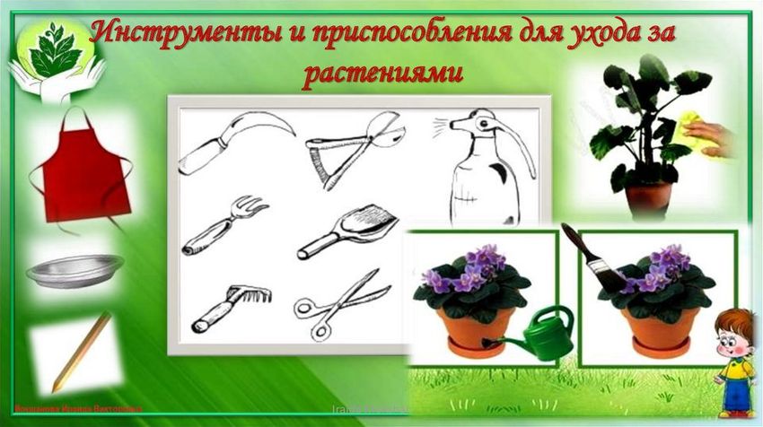 Предметы для ухода за растениями