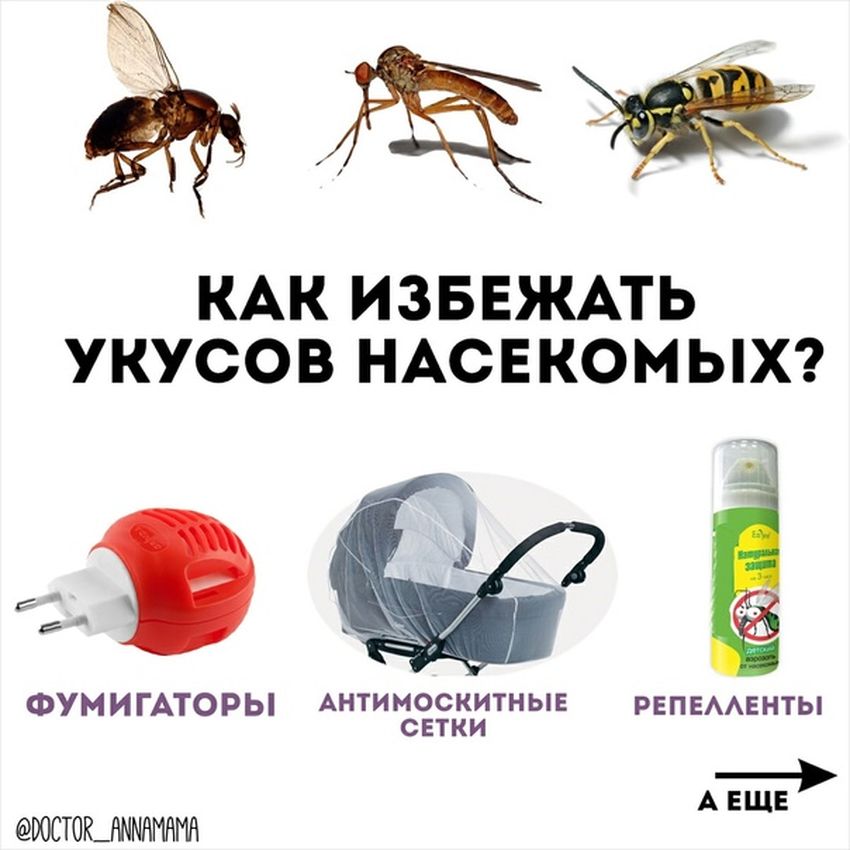 Укусы насекомых