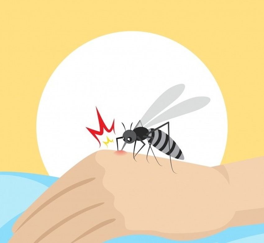 Mosquito bite