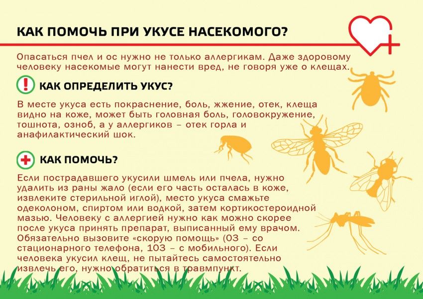 Первая помощь при укусах насекомых