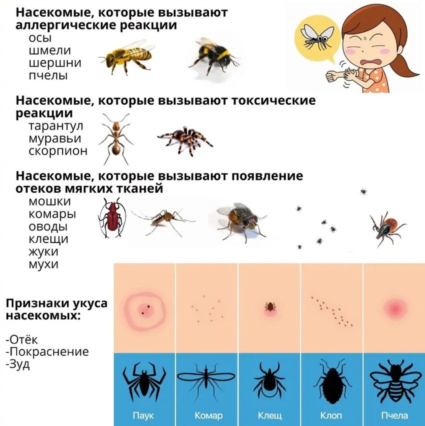Укусы разных насекомых