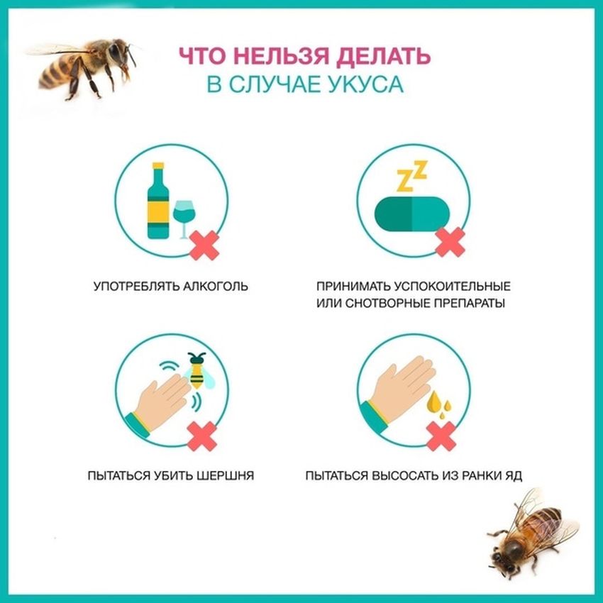 Первая помощь при укусах насекомых