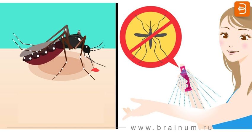 Dengue fever