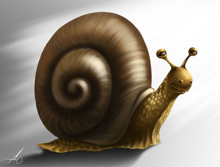 Улитка