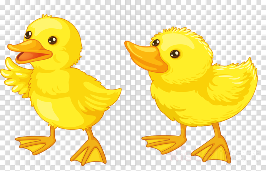 Утенок для детей