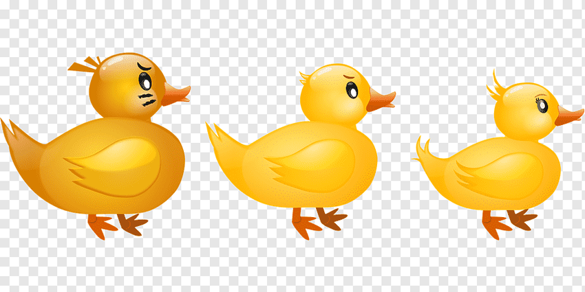 Утка утенок