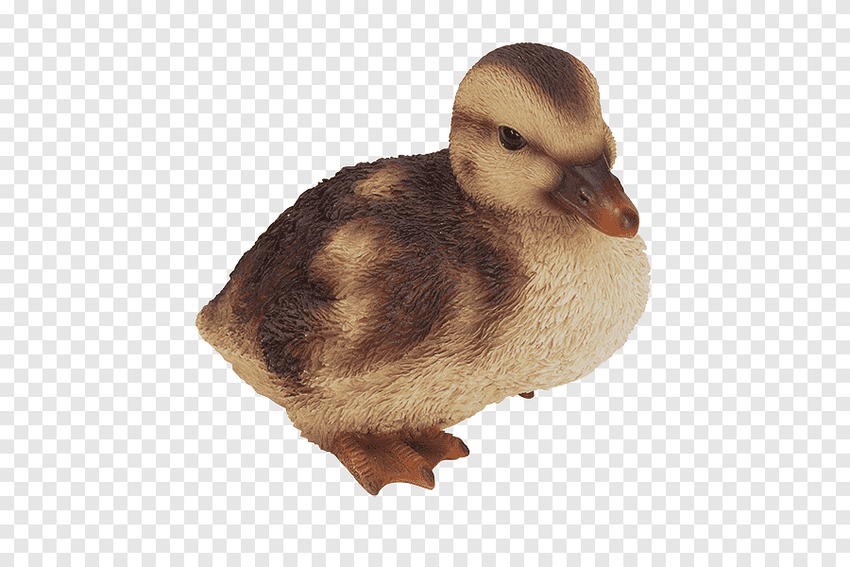 Утки на белом фоне